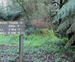 trail-hiking-mount-worth-1