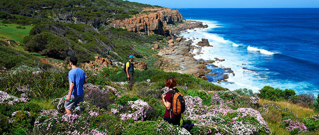 Cape to Cape Track Trail Hiking Australia