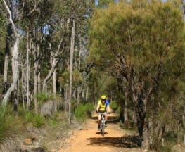 Jarrahdale Balmoral Trail