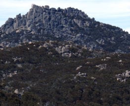 trail-hiking-australia-mount-mcleod