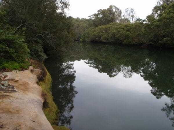 Fairylands loop track 600x450