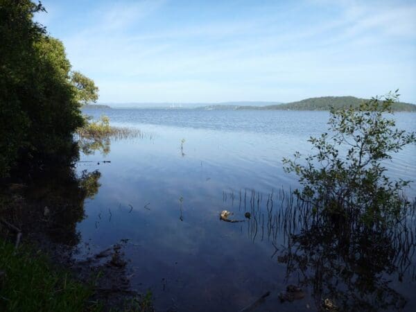 Galgabba point walk 600x450