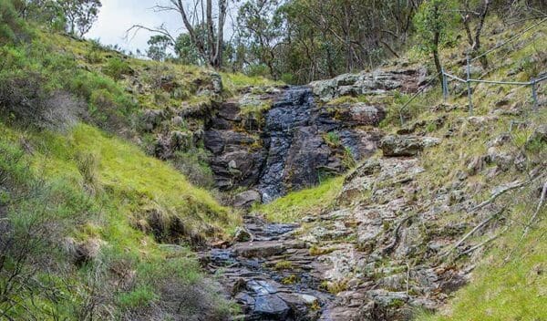 Snowgum Walking Track (900m) Hopetoun falls walking track trail hiking australia 600x352