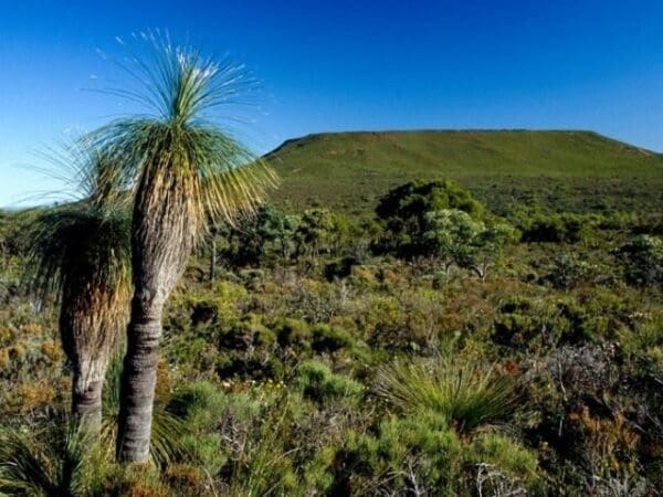 Hikes Lesueur walk trail 600x450