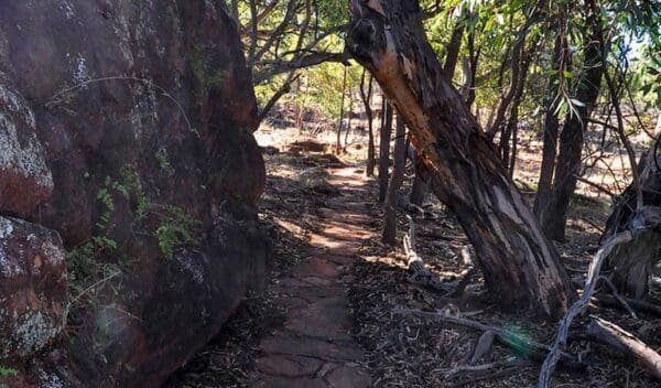 Hikes Mount grenfell art site walk trail hiking australia 600x352