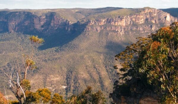 Perrys Lookdown to Blue Gum Forest Walk (5.4km) Perrys lookdown to blue gum forest walking track trail hiking australia 600x352