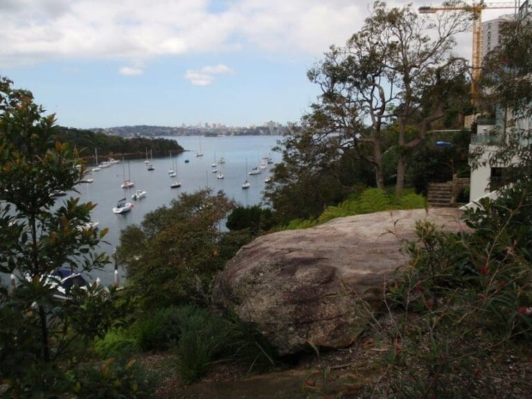 Taronga to musgrave wharf 768x576