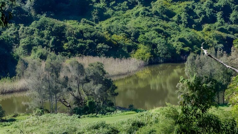 Bombala Walking Track (1km) Bombala walking track (1km)