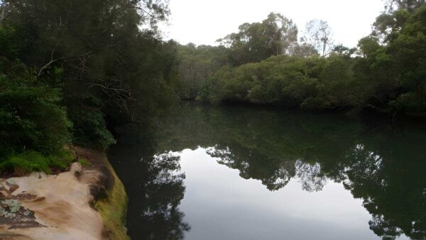 Fairylands loop track (5. 3km)