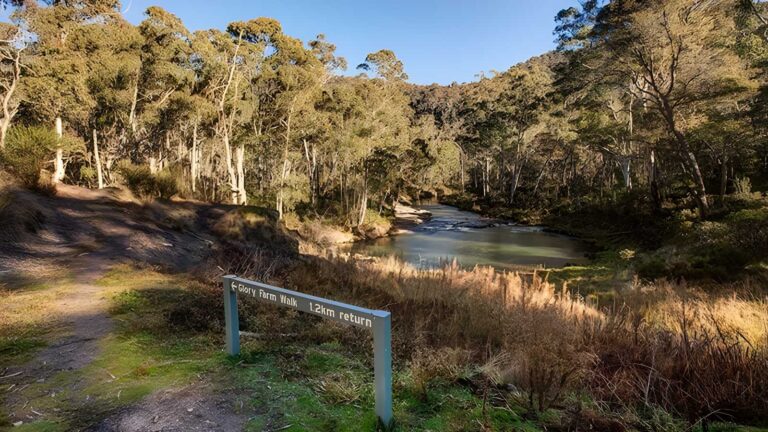 Glory farm walk (2. 6km)