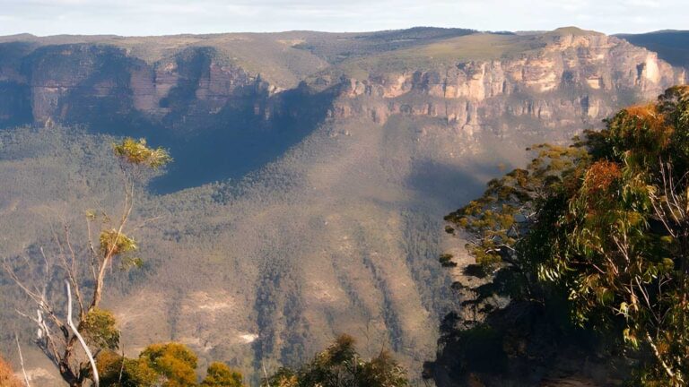 Perrys lookdown to blue gum forest walking track (4km)