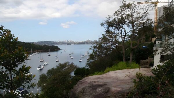 Taronga to Musgrave Wharf Walk (1.7km) Taronga to musgrave wharf walk (1. 7km)