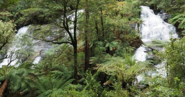 Trail hiking triplet falls circuit 600x315