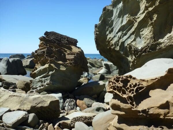 Hikes Forresters beach to crackneck beach 600x450