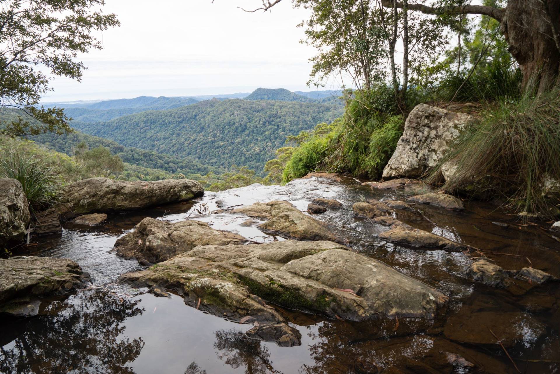gold coast hinterland great walk guided tour