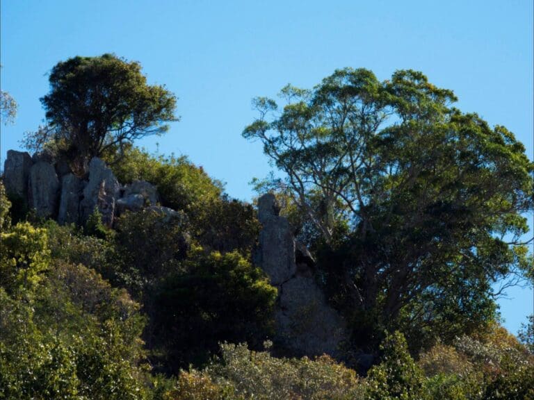 Goolman Lookout Trail Walk (5.6km) Goolman lookout trail 768x576