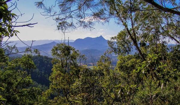 Historic nightcap walking track trail hiking australia 600x352
