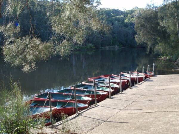 Lane cove tourist park to boat shed 600x450