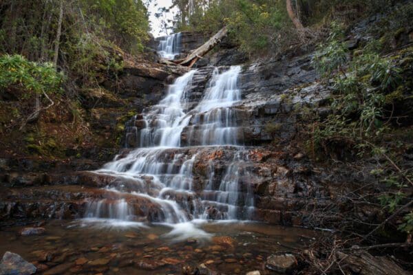 Hobart to the Pinnacle Hike (15km) New town falls 600x400