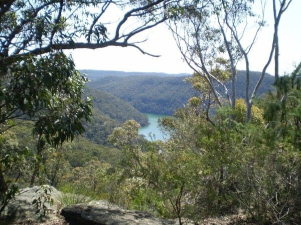 Perimeter trail 600x450