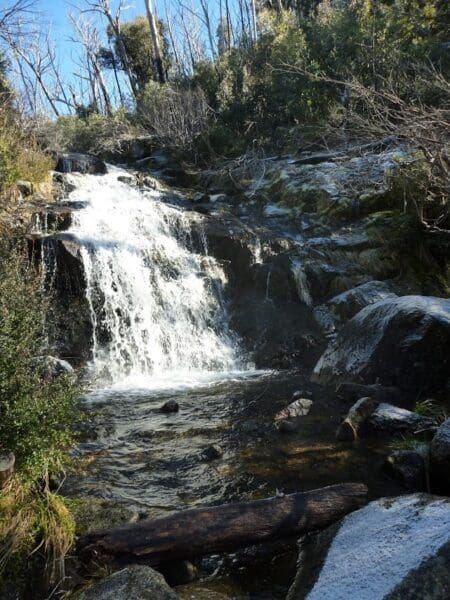 Sawpit Walking Track (2km) Waterfall walk 450x600