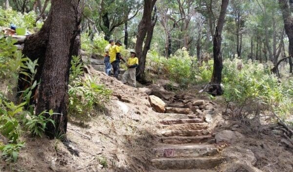 Aboriginal Heritage Walk (4.4km) West head army track trail hiking australia 600x352
