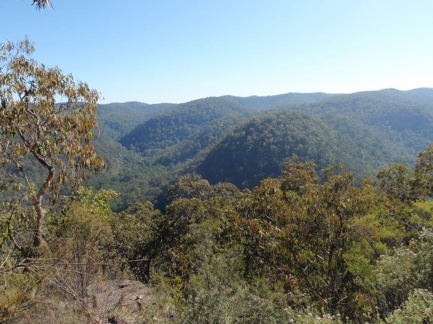 Western Commission Track to Dubbo Gully