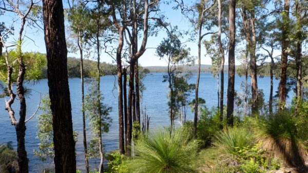 Bibbulmun wellington spur trail walk (19km)