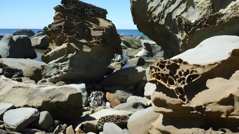 Forresters Beach to Crackneck Beach Walk (5.8km) Forresters beach to crackneck beach walk (5. 8km)