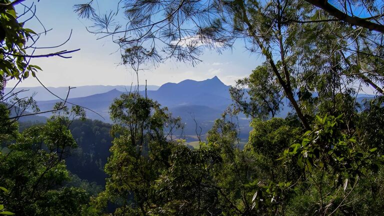Historic nightcap walking track (18km)
