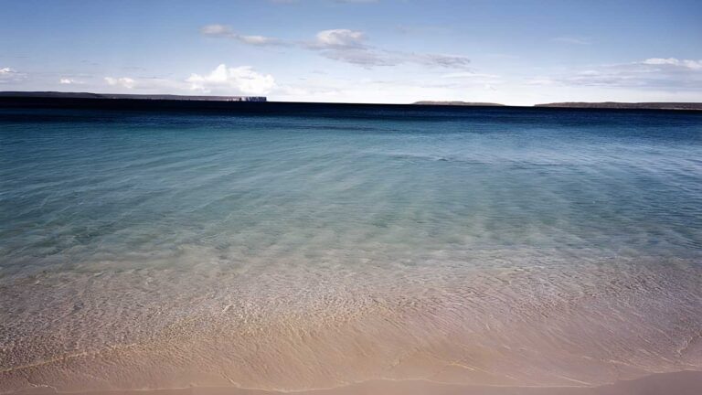 Hyams beach trail walk (2km)