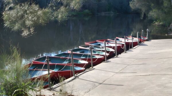 Lane cove tourist park to boat shed walk (3. 4km)