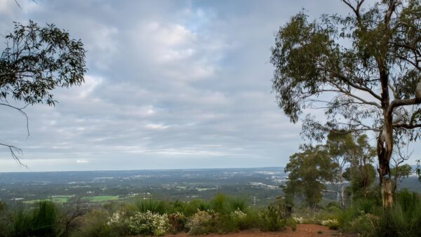 Lions Lookout Walk (4km) Lions lookout walk (4km)