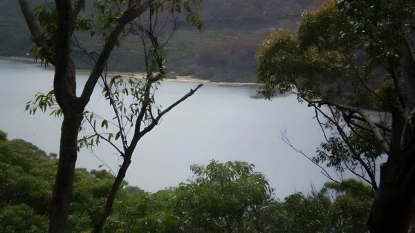 Manly Dam Nature Trail Walk (3.2km) Manly dam nature trail walk (3. 2km)