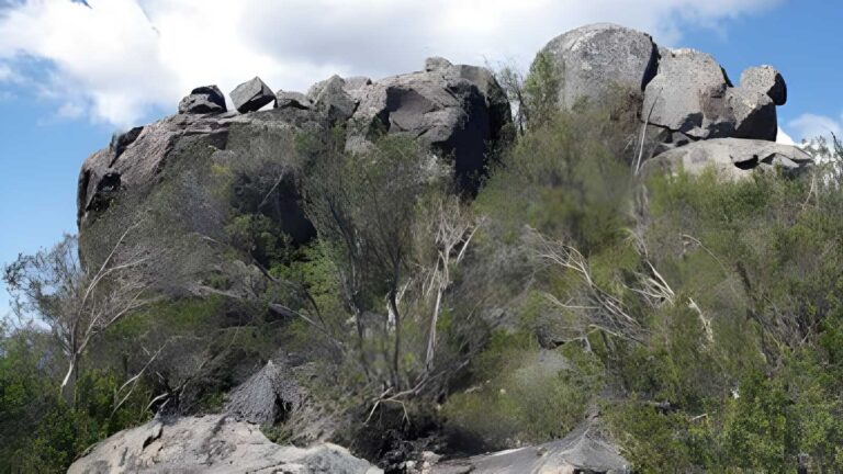 Mount Burrowa & the Pimple Hike (16.3km) Mount burrowa & the pimple hike (16. 3km)