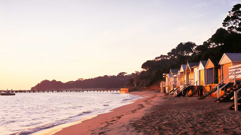 The bay trail walk (24km)