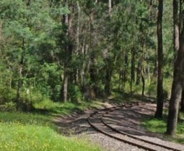 homeinvisagepublic_htmltrailhikingwp-contentuploads201702trail-hiking-emerald-to-cockatoo-trail-6-4m.jpg