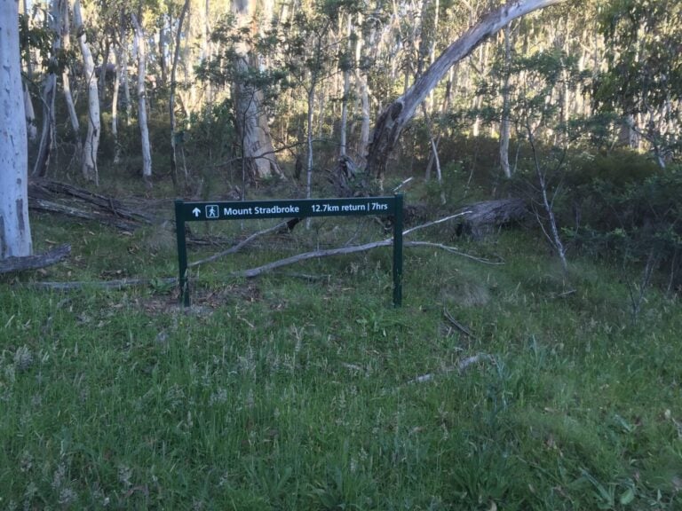 Trail hiking mount stradbroke trail scaled 768x576