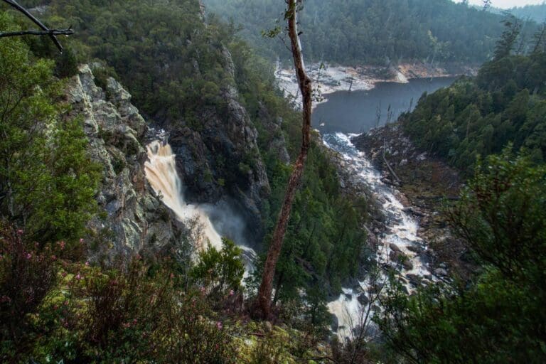 Adams falls