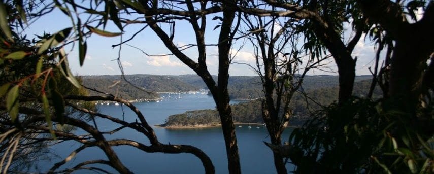 Bairne Track to Towlers Bay Lookout