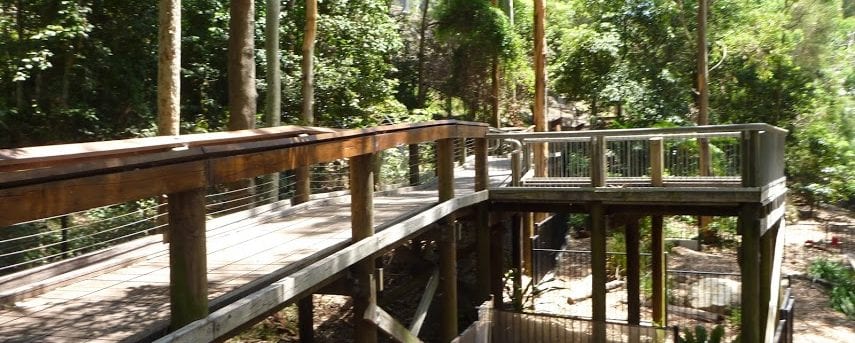 Blackbutt Wildlife Exhibit