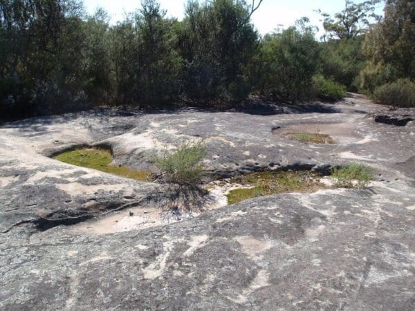 Cherrybrook to refuge rock 1 600x450