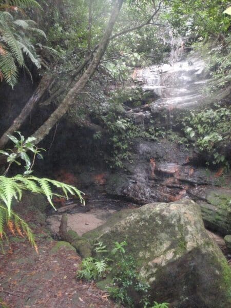 Clarinda falls from faulconbridge 1 450x600