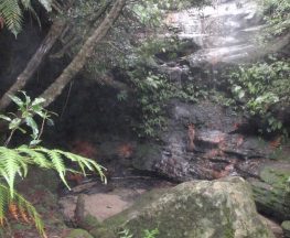 Clarinda Falls from Faulconbridge