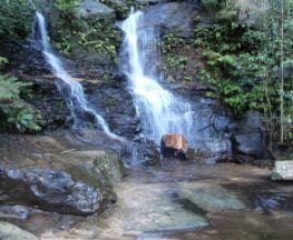 Conservation Hut to Empress Falls