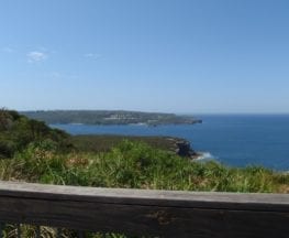 Crater Cove Lookout