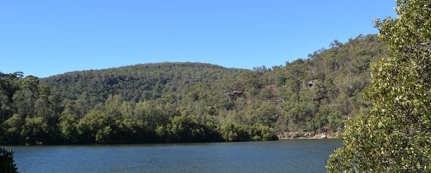 Crosslands to Berowra Creek Lookout
