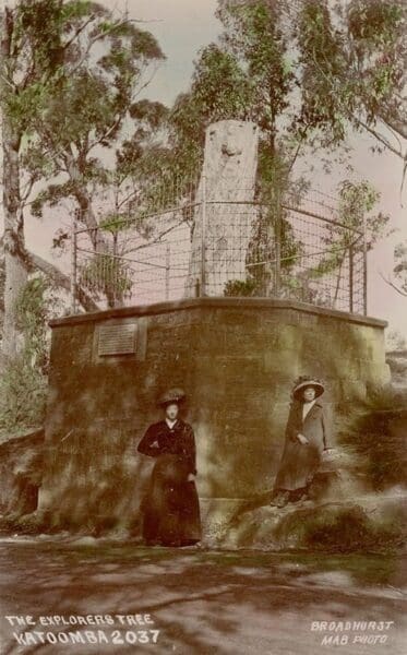 Farnell road to explorers tree 1 373x600