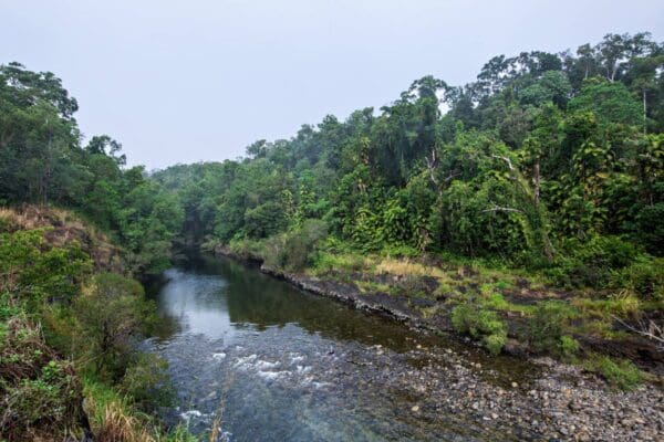 Hikes Goldfield trail 600x400