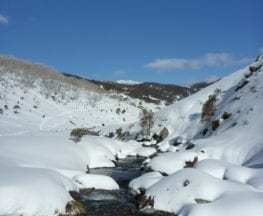 Guthega River Snowshoe